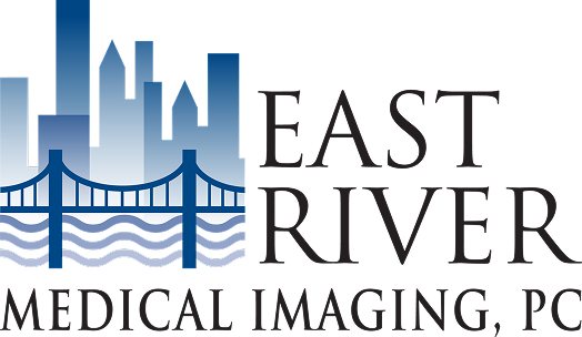 logo east river